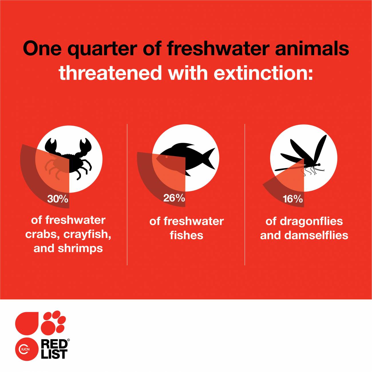 Freshwater-infographic-1-©-Sarah-Streyle-Conservation-International