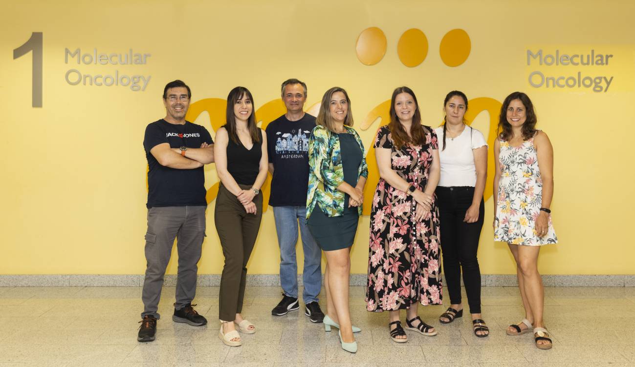 Autores del estudio. Desde la izqda.: Luis Leiva (CNIO), Leticia Herrera (CNIC), Alfonso Mora (CNIO), Guadalupe Sabio (CNIO), Cintia Folgueira (CNIC), Elena Rodríguez (CNIO), Marta León (CNIO). / Laura M. Lombardía / CNIO