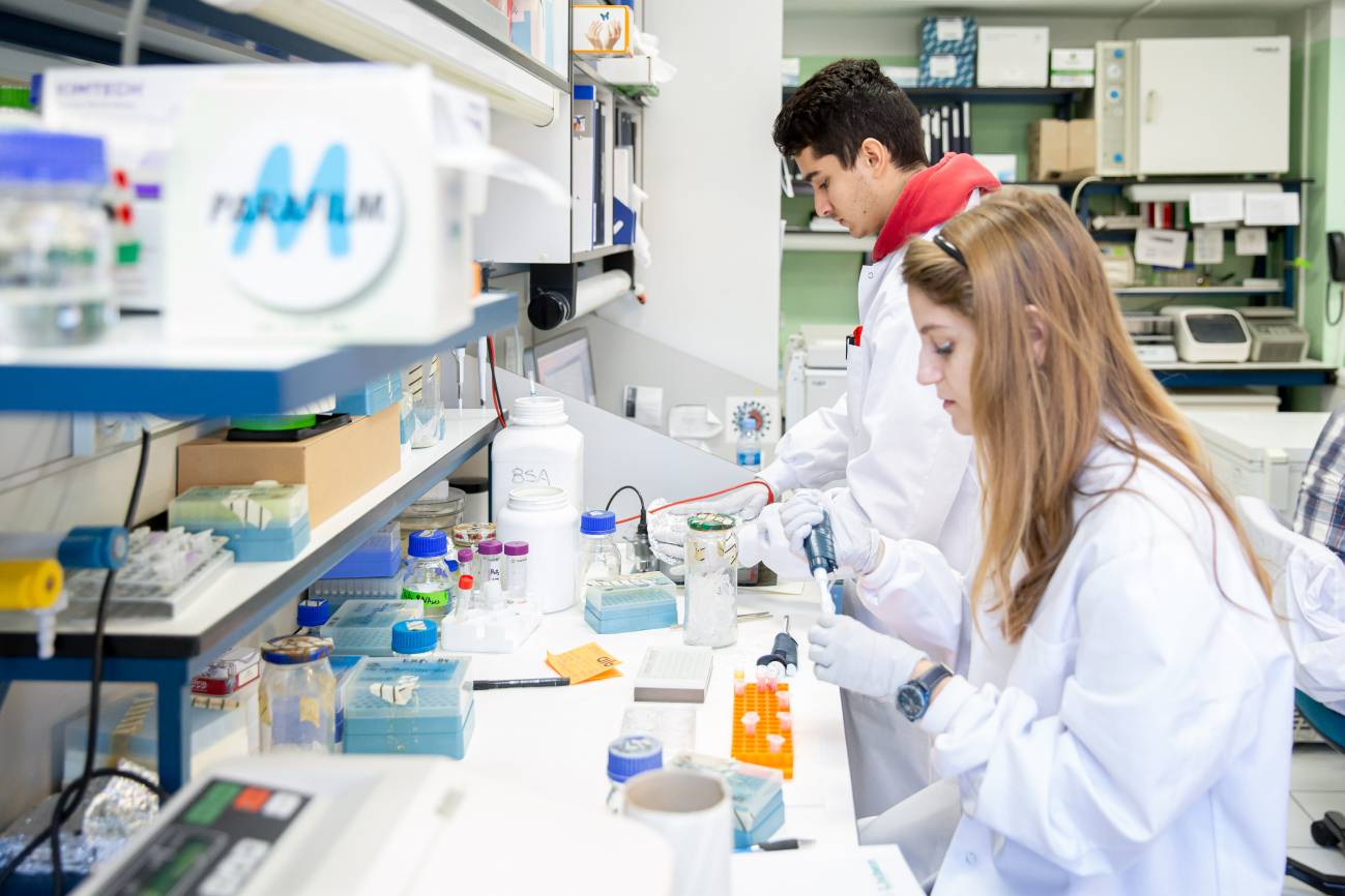 En la foto, Melissa Belló, investigadora posdoctoral del grupo de coronavirus; y Jesús Hurtado, estudiante de máster de la Universidad Complutense de Madrid, que está haciendo su TFM sobre virología en este laboratorio. / Álvaro Muñoz Guzmán, SINC