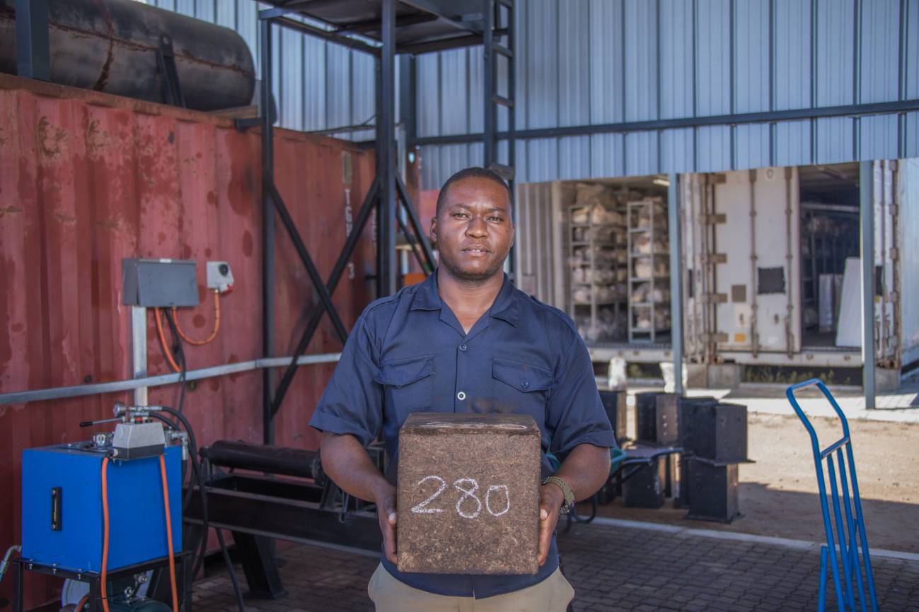 El proyecto MycoHab ha impulsado las primeras casas autoportantes construidas en base a micelio y residuos de arbustos de especies invasoras en Namibia. / MycoHab