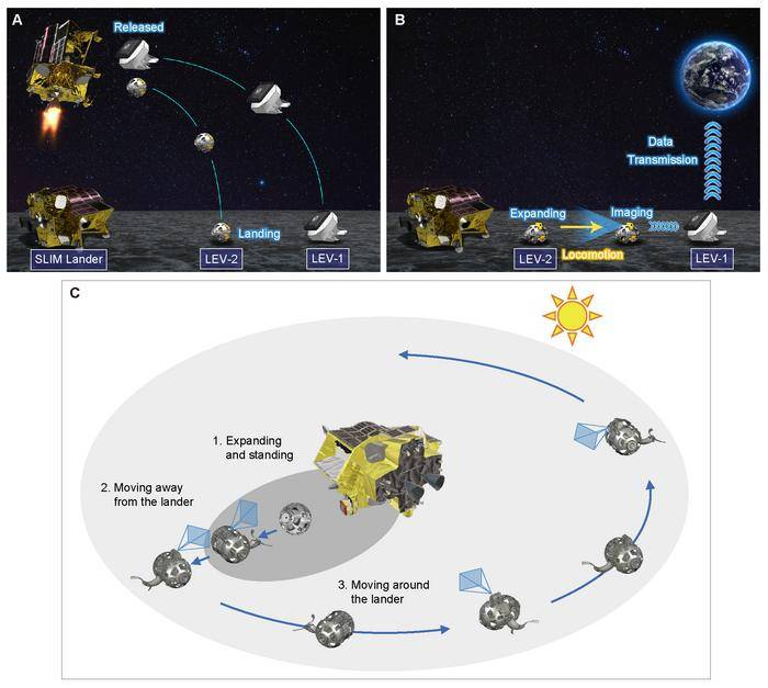 Secuencia de operación en la superficie lunar: (A) Despliegue de los rovers LEV 1 y LEV 2 desde el módulo SLIM antes del aterrizaje. (B) Transmisión de datos desde LEV 2 hasta la Tierra a través de LEV 1. (C) Trayectoria y secuencia de movimiento del rover alrededor del módulo lunar. / D. Hirano