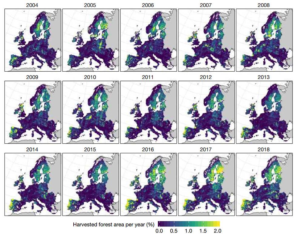 Superficie forestal cultivada por año en la Unión Europea. / G. Ceccherini et al./Nature