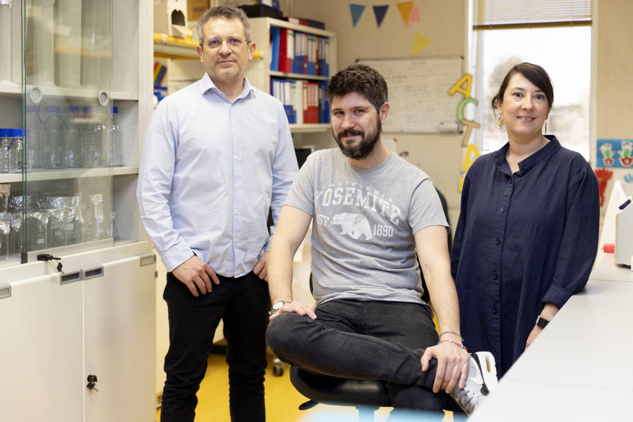 Sergio Muñoz, Juan Méndez y Sara Rodríguez-Acebes en su laboratorio del CNIO. / Laura M. Lombardía / CNIO