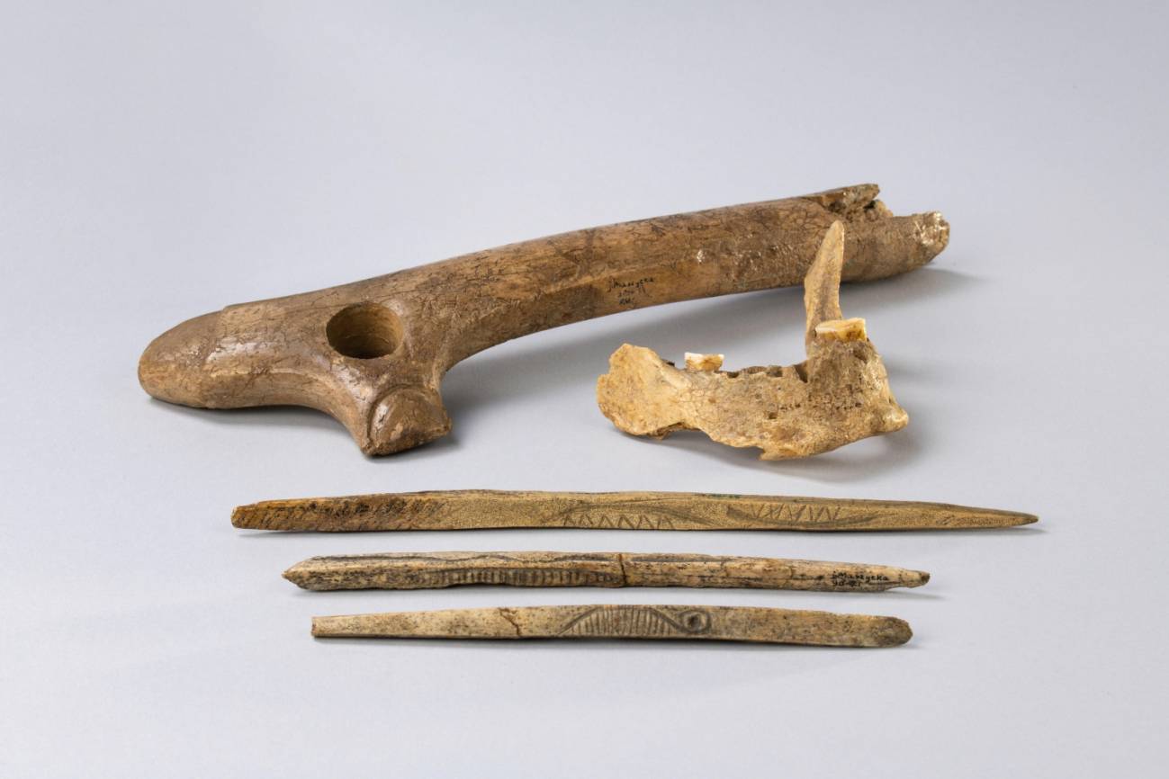 Restos óseos y de asta de la cultura magdaleniense. /Agnieszka Susuł/Museo Arqueológico de Cracovia