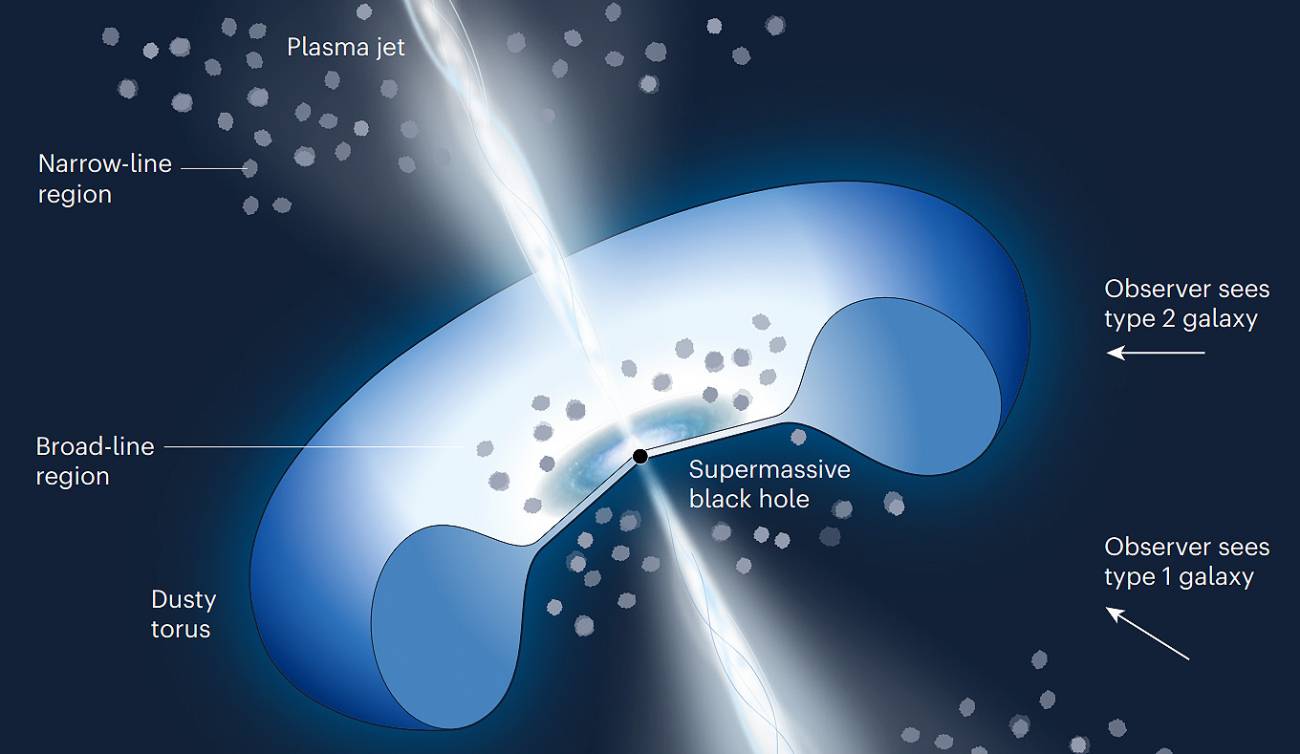 Imagen del polvo alrededor de un núcleo activo de galaxia , indicando desde donde se ven los de tipo 1 y 2. / Robert Antonucci/Nature