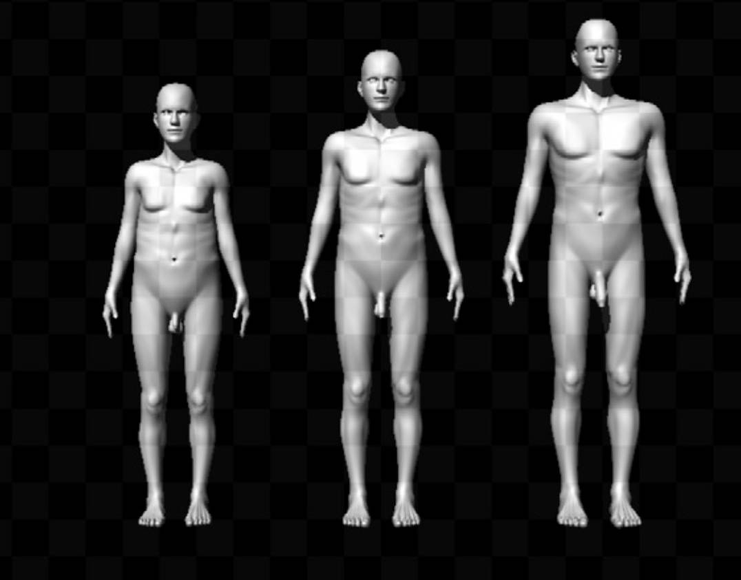 Figuras utilizadas en el estudio sobre el tamaño del pene  