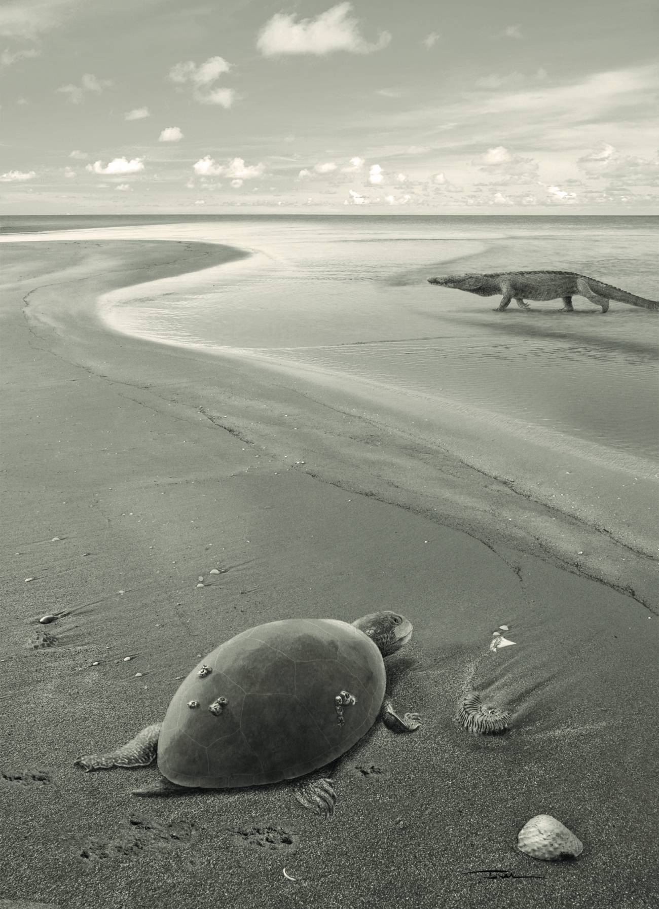 Reconstrucción de ‘Plesiochelyidae indeterminado’ en un paisaje costero del Jurásico superior ibérico. / Iván Gromicho