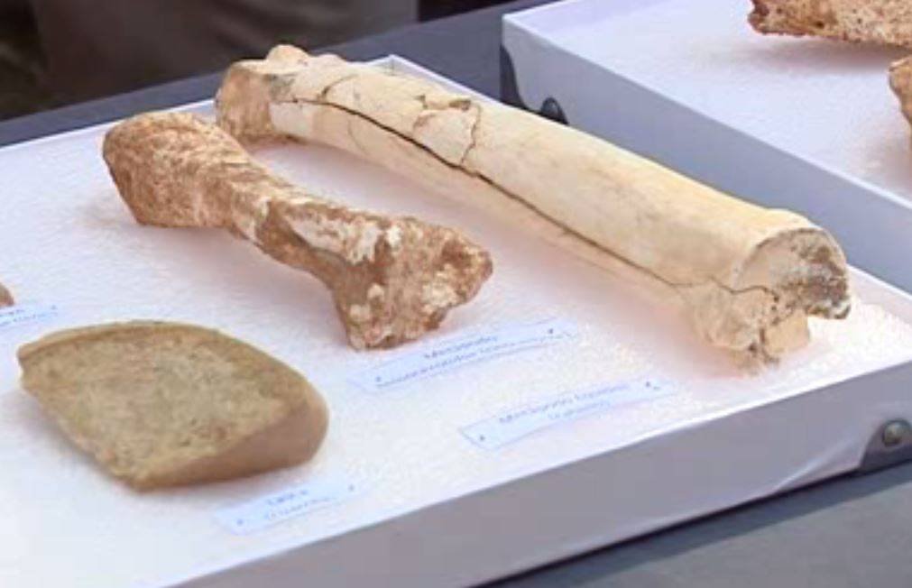 Atapuerca revela restos de cráneos de homínido de más de 400.000 años