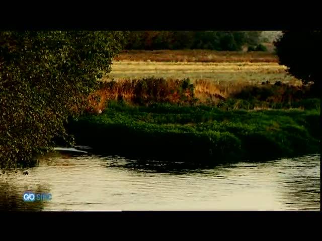 Detectan 88 contaminantes en los ríos de Madrid