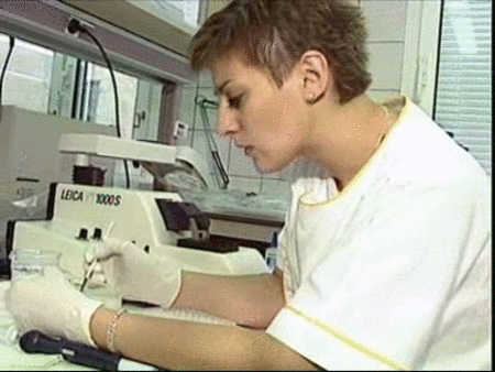 El ser humano contra las enfermedades infecciosas