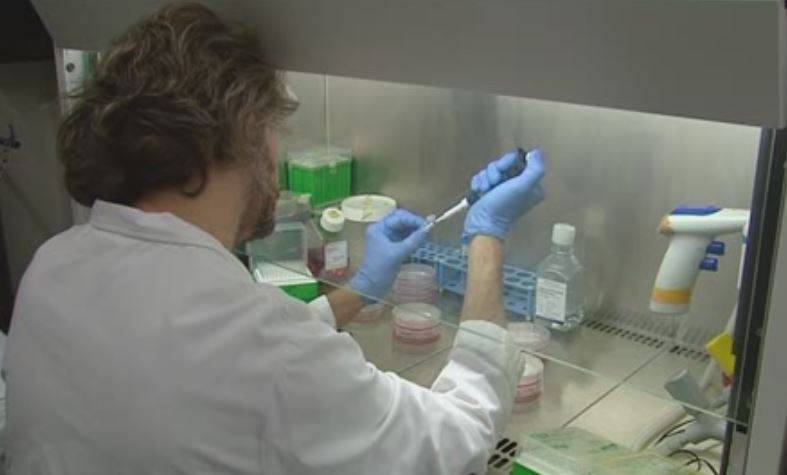 La biopsia líquida es más efectiva en casos de cáncer colorrectal