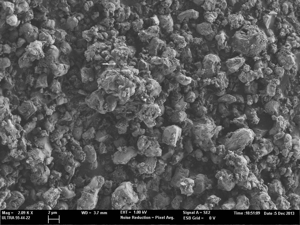 Microcápsulas con aceites esenciales para luchar contra el hongo Aspergillus niger