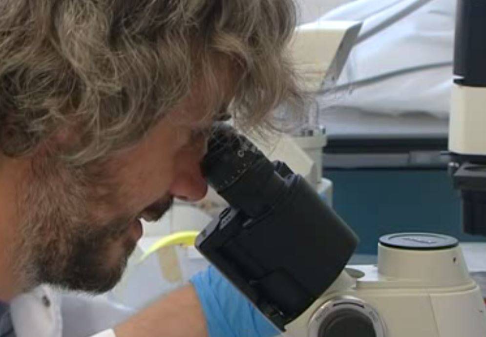 Nuevo medicamento consigue frenar el cáncer de colon