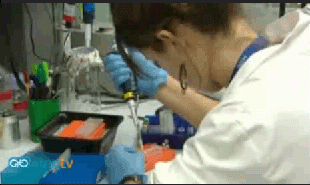 Un proyecto para curar el cáncer de mama triple negativo