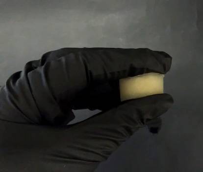 ‘Andamios’ para fabricar tejidos biológicos con plumas de calamar