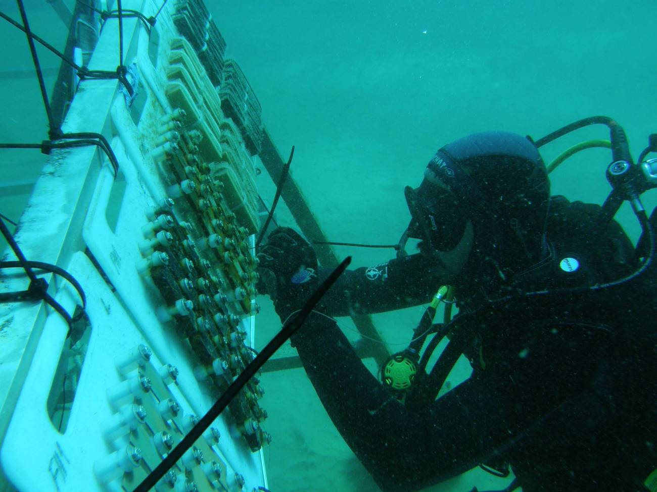 Como recopilar información de restos arqueológicos subacuáticos ‘in situ’