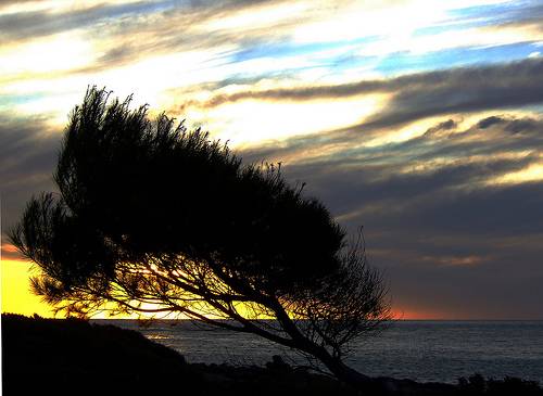 Debaten el riesgo natural de los temporales en el Mediterráneo 
