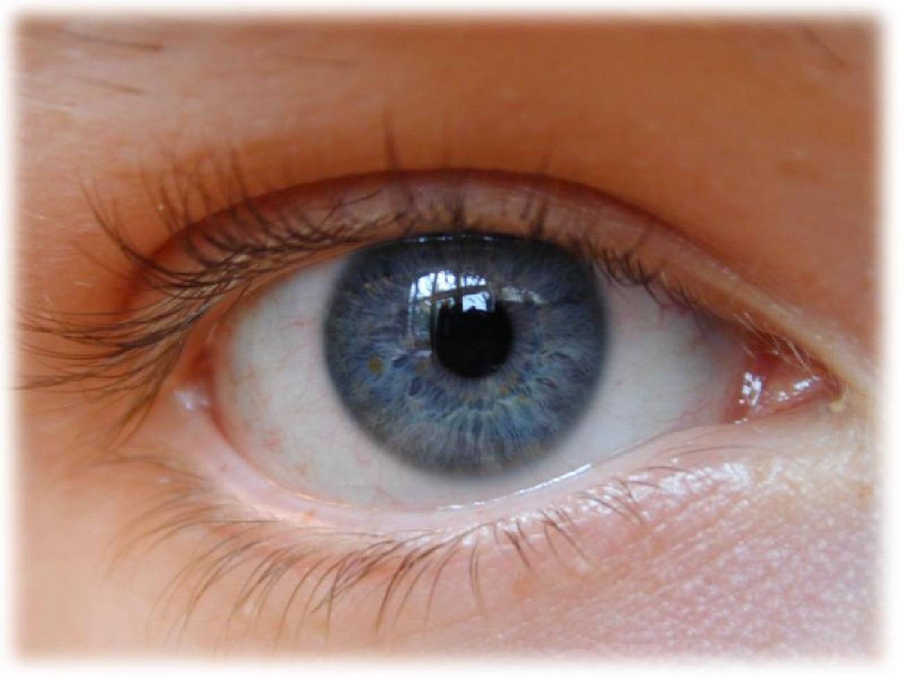 Desarrollan una nueva técnica para regenerar las células dañadas de la retina