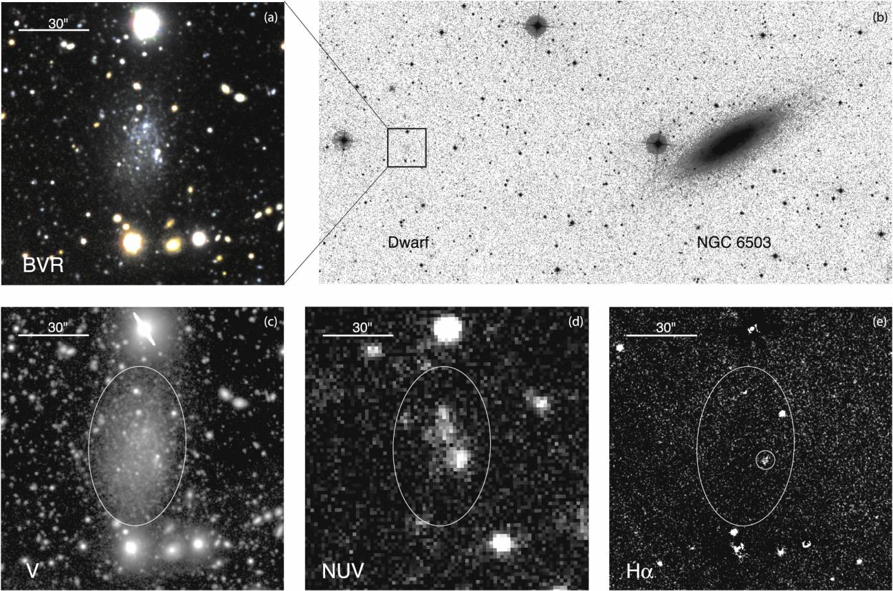 Descubren ‘la punta del iceberg’ de una evasiva población de galaxias enanas