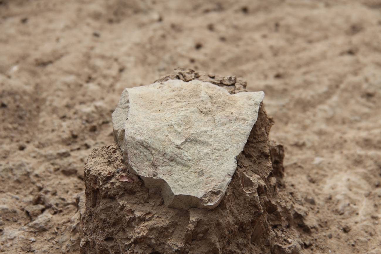 Descubren las herramientas de piedra más antiguas 