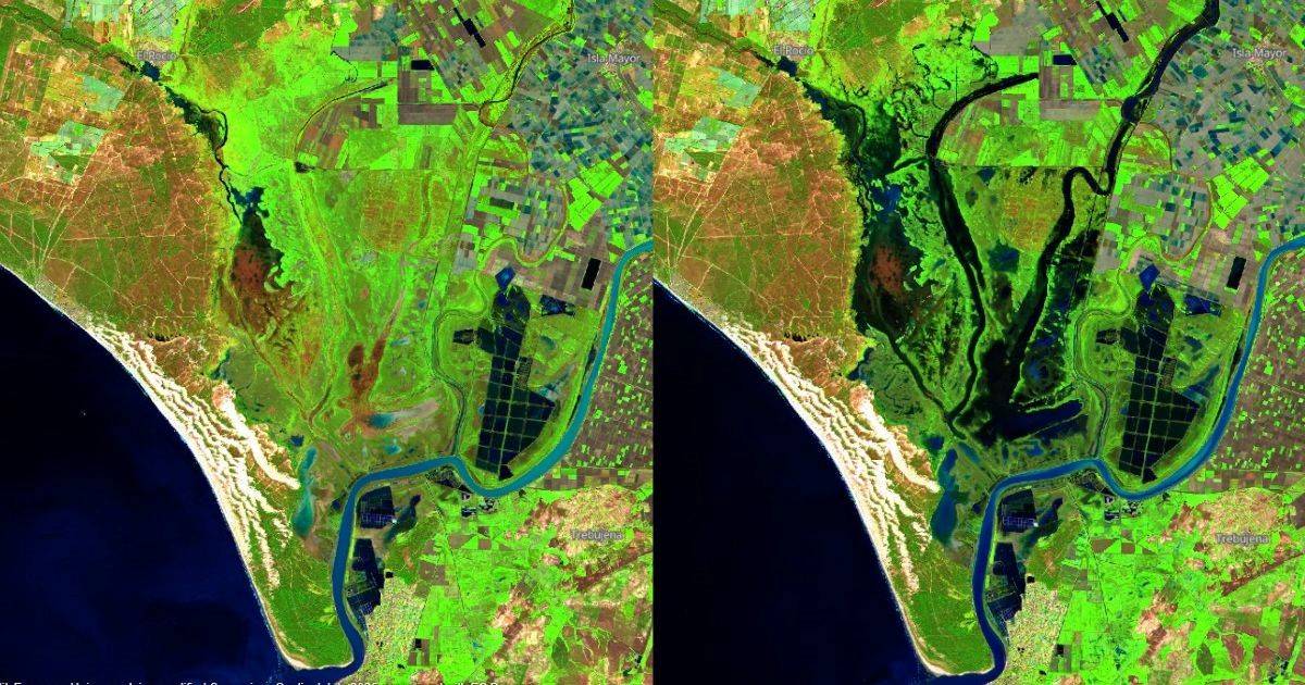 Doñana