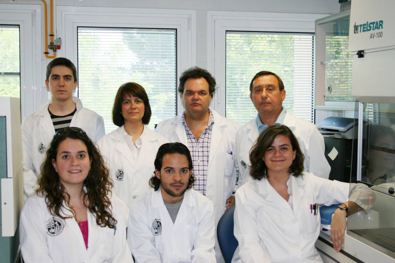 El aceite de oliva protege de infecciones bacterianas incluso cuando el organismo está bajo de defensas