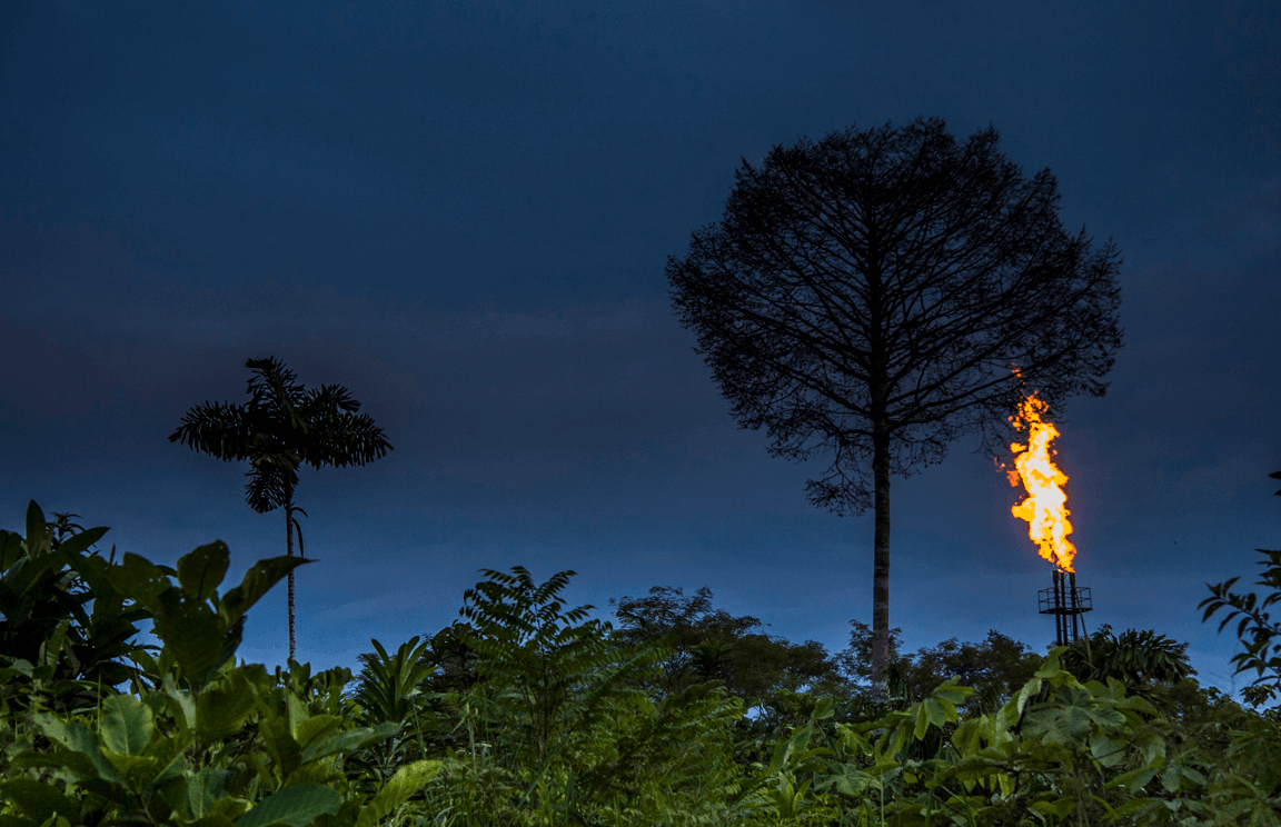 El petróleo pone en peligro la biodiversidad del Amazonas
