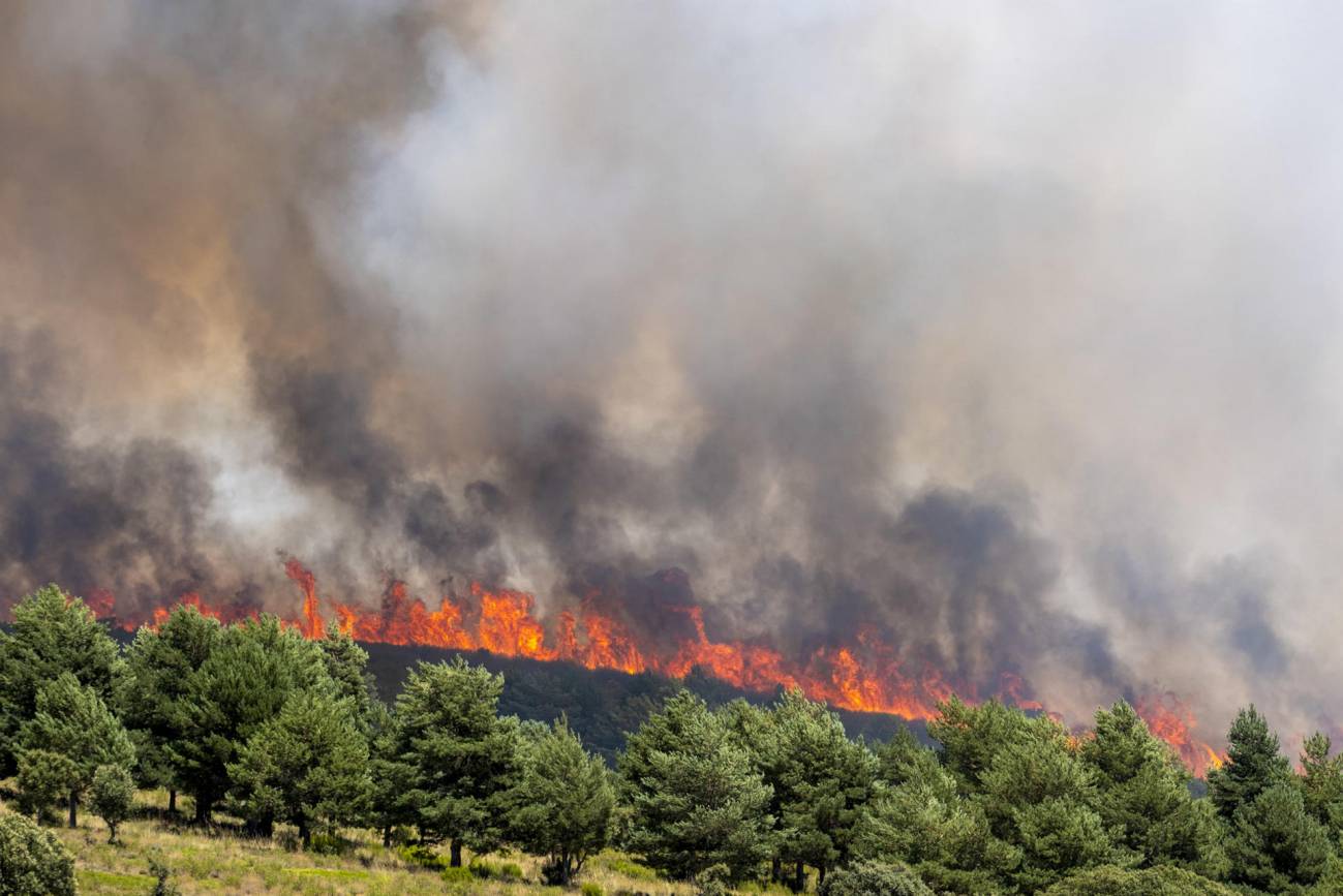 España supera las 60 000 hectáreas quemadas en incendios forestales