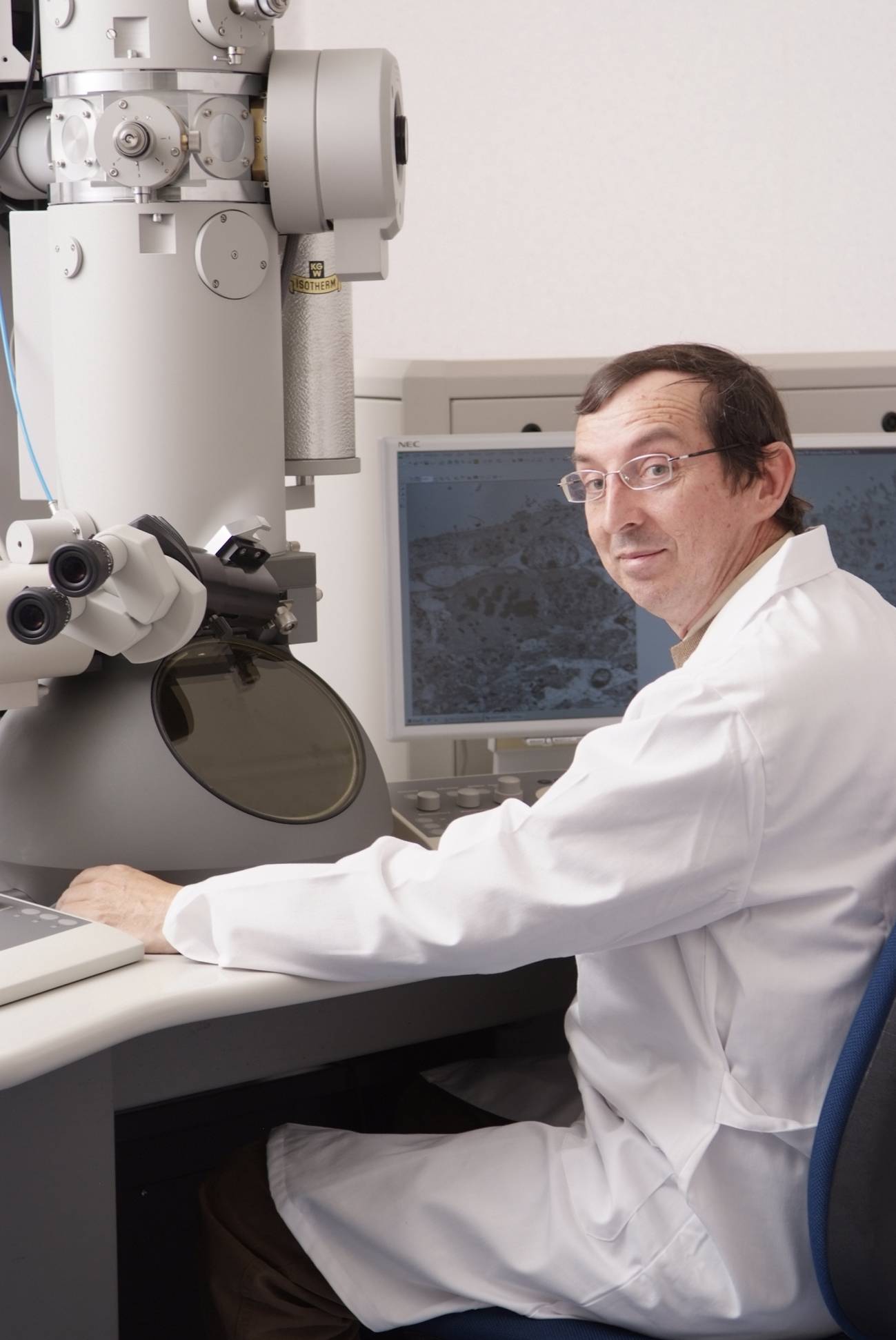 Hallan el funcionamiento de un gen implicado en la diferenciación hacia neuronas de las células madre del cerebro