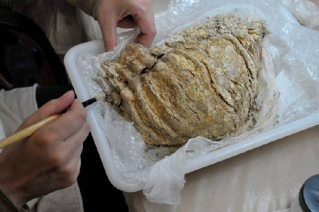 Hallan en Granada las herramientas líticas más primitivas de Europa 