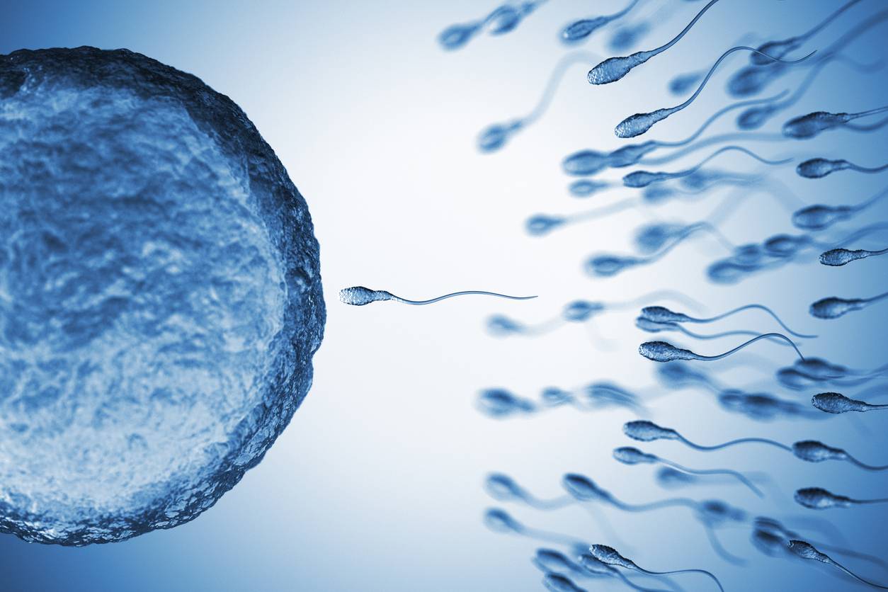 Identifican más de 40 químicos de uso cotidiano en el semen humano que afectan a su calidad