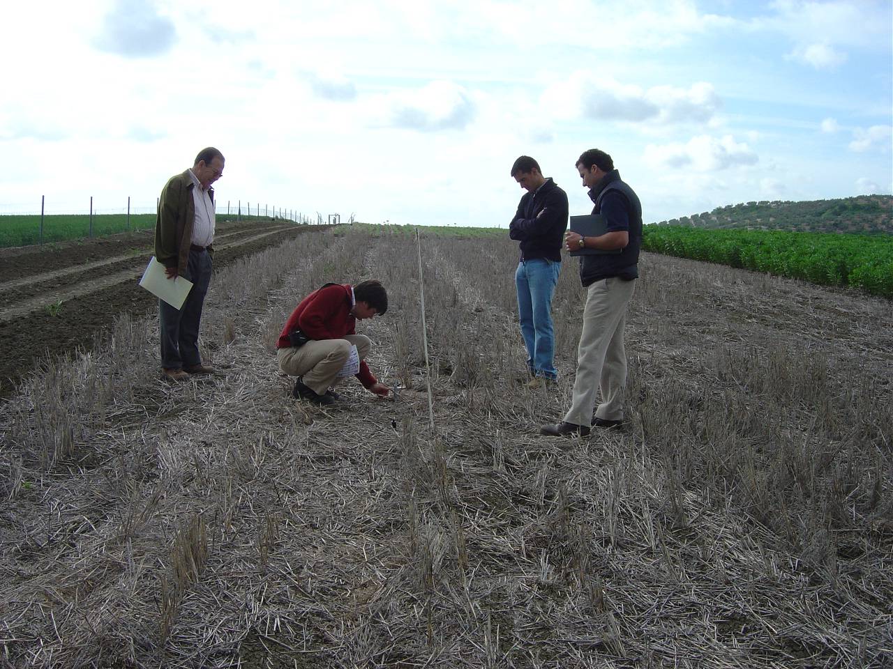 La agricultura andaluza se alía con Kioto