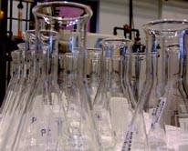 La Ley de Investigación Biomédica se enfrenta a vacíos legales