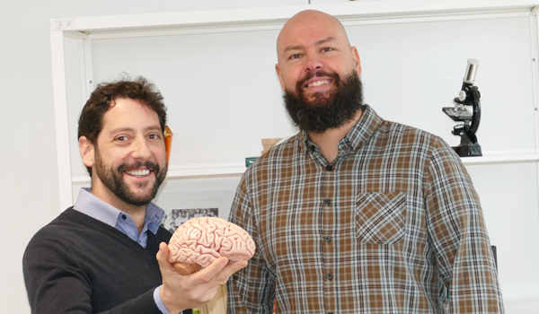 Ausencia de neuronas migratorias en el cerebro embrionario de aves. 