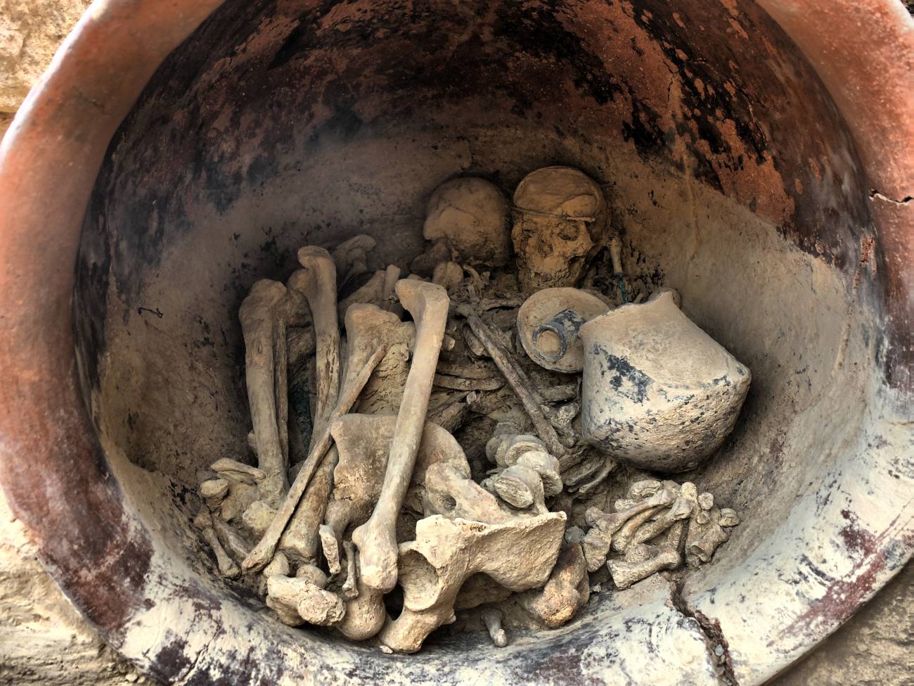 Los genomas de varios individuos revelan cambios en las poblaciones de la Edad del Bronce en el sur peninsular 