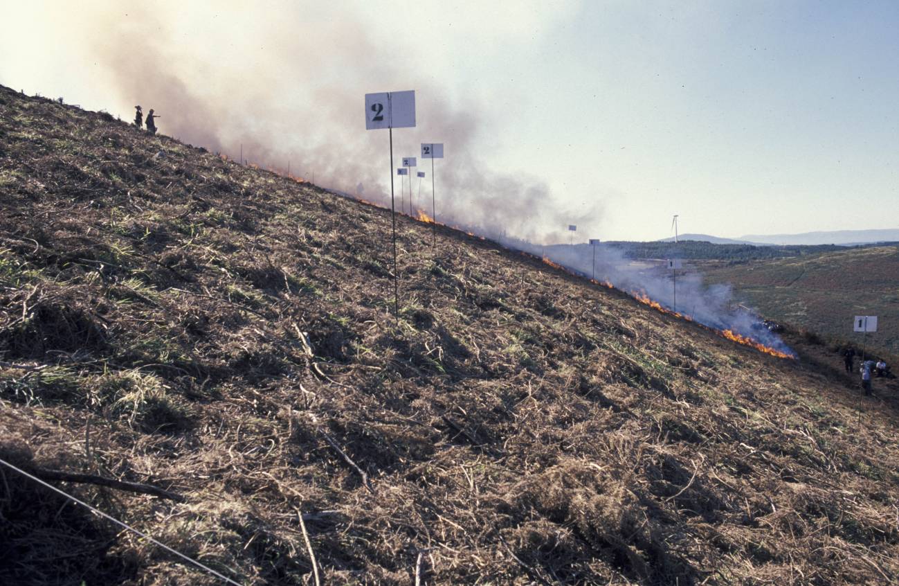 Quemas controladas en A Estrada (Pontevedra)