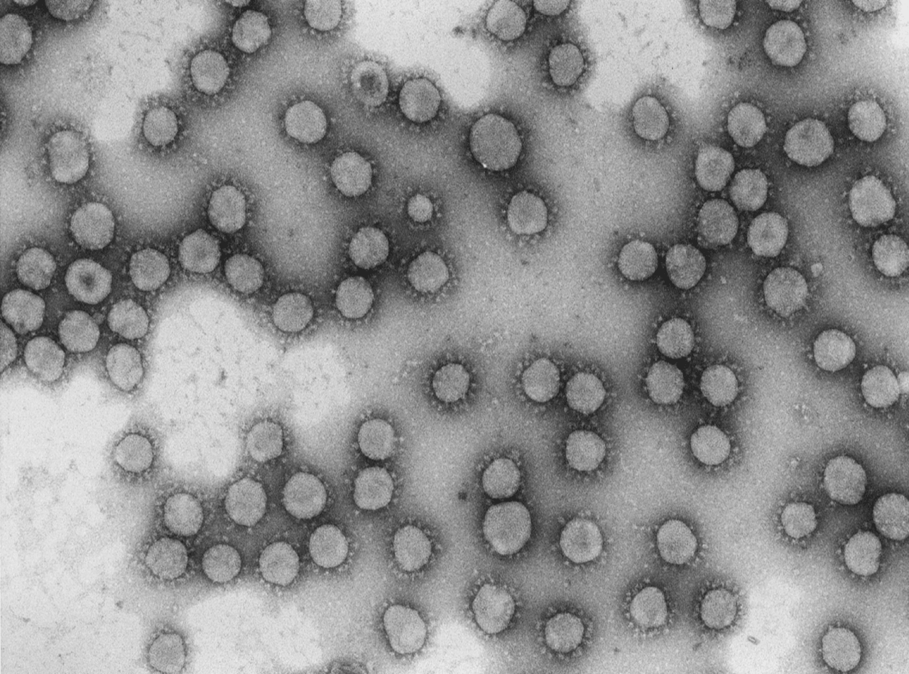 Ocho centros españoles logran financiación europea para investigar el coronavirus