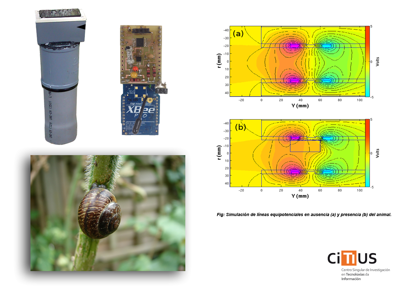 Patentan un nuevo sistema de visión artificial para la detección de caracoles y babosas