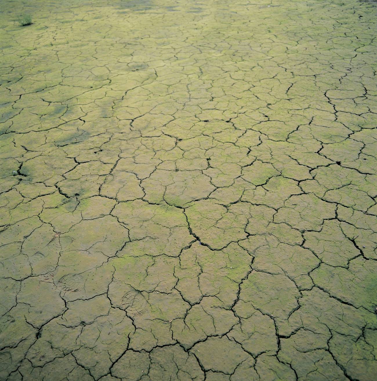 Cambio climático