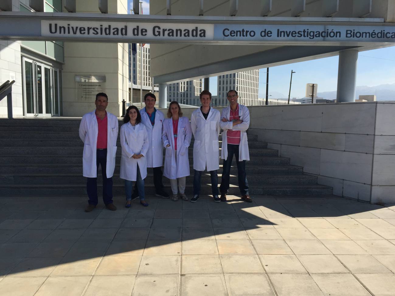 En la imagen, los investigadores de la UGR que han participado en este trabajo. De izquierda a derecha, Julio José  Ochoa Herrera, Naroa Kajarabille, Mario Pulido Morón, Silvia Hijano, Jorge Moreno Fernández y Javier Díaz Castro.   