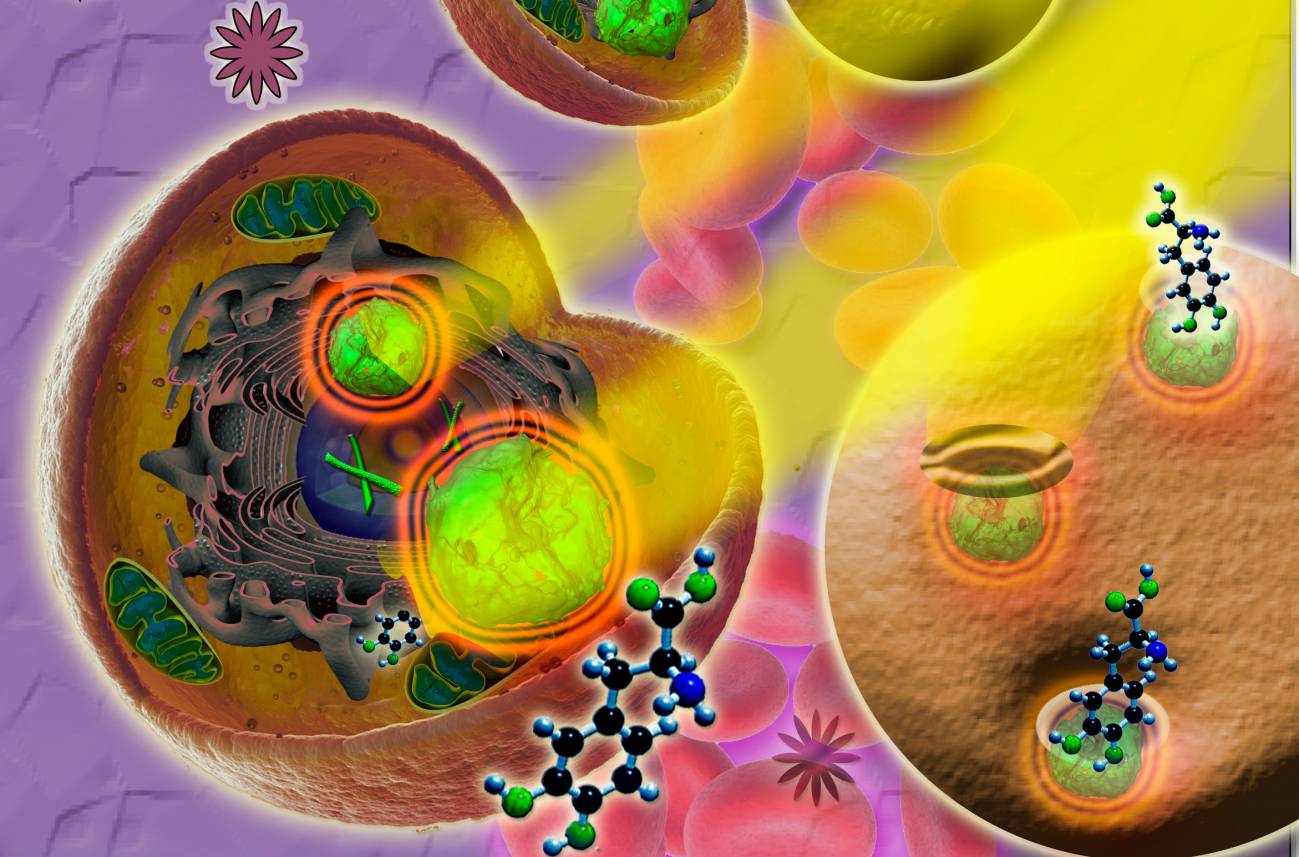 Un investigador español innova en nanofármacos inyectables contra el dolor crónico