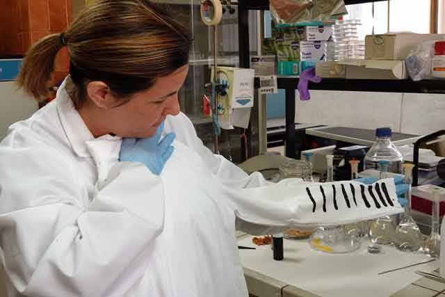 Una camiseta produce electricidad por la diferencia de temperatura entre el cuerpo y el entorno