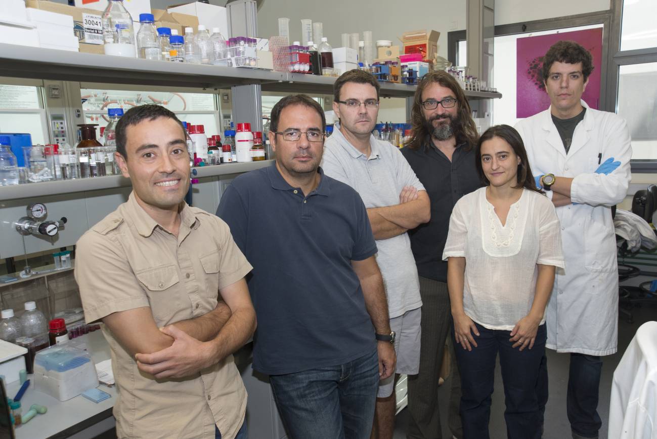 Una tecnología con nanopartículas permite triplicar la producción de biogás