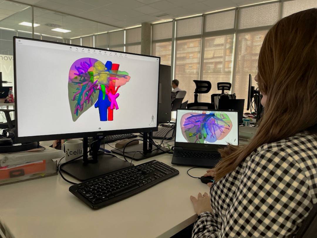 Imagen sobre un modelo 3D 
