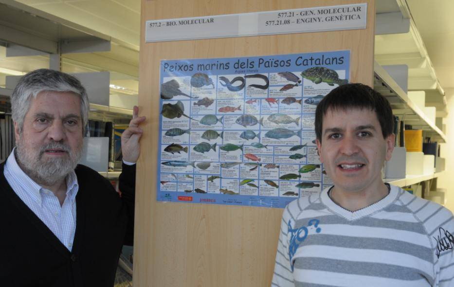 Los expertos Adolfo de Sostoa y Alberto Maceda Veiga, del Grupo de Investigación Consolidado de Biología de Vertebrados de la UB.