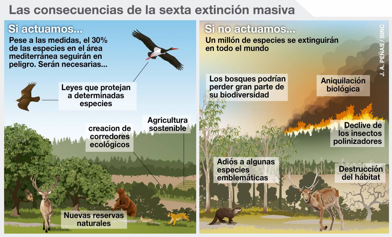 Las consecuencias de la sexta extinción masiva