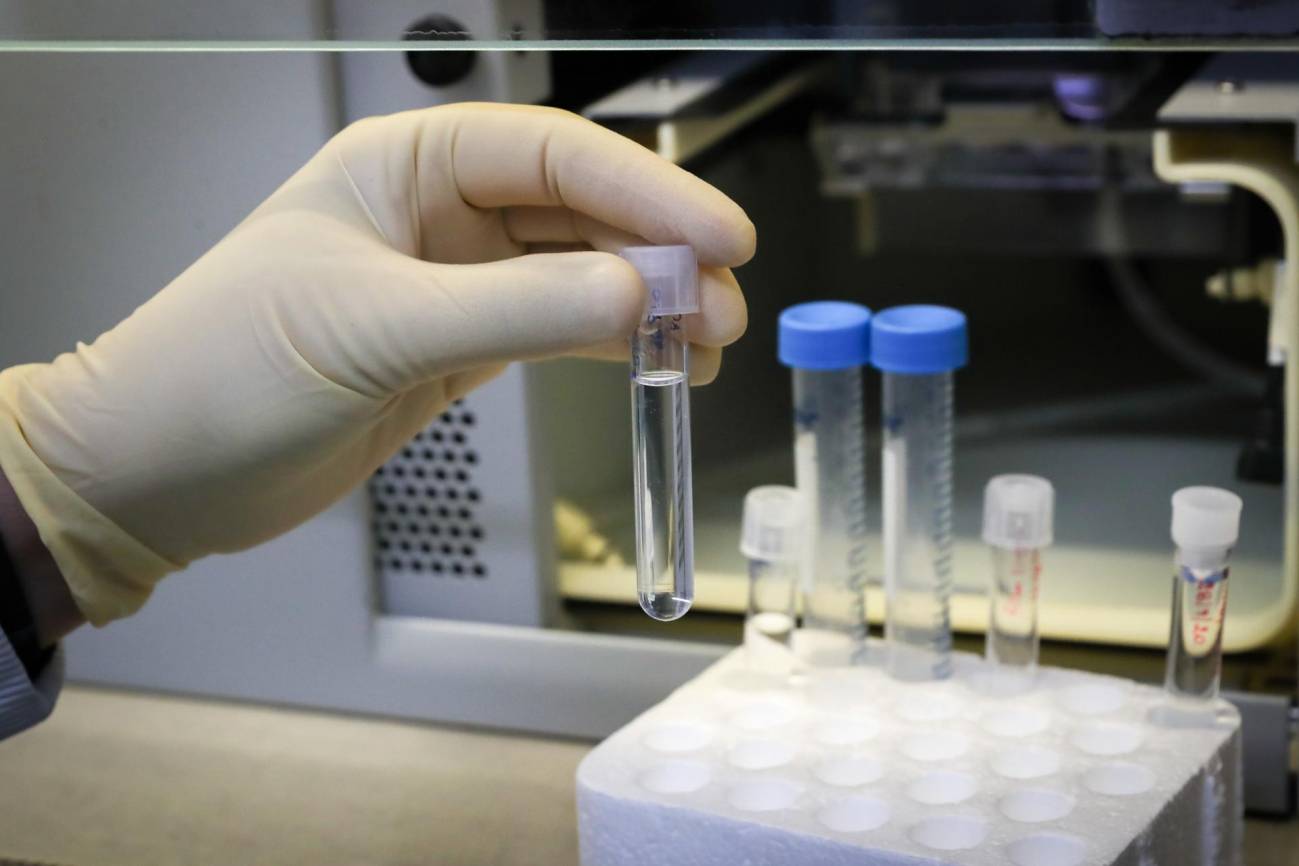 Este gel ayudó a curar a ratones con cáncer cerebral