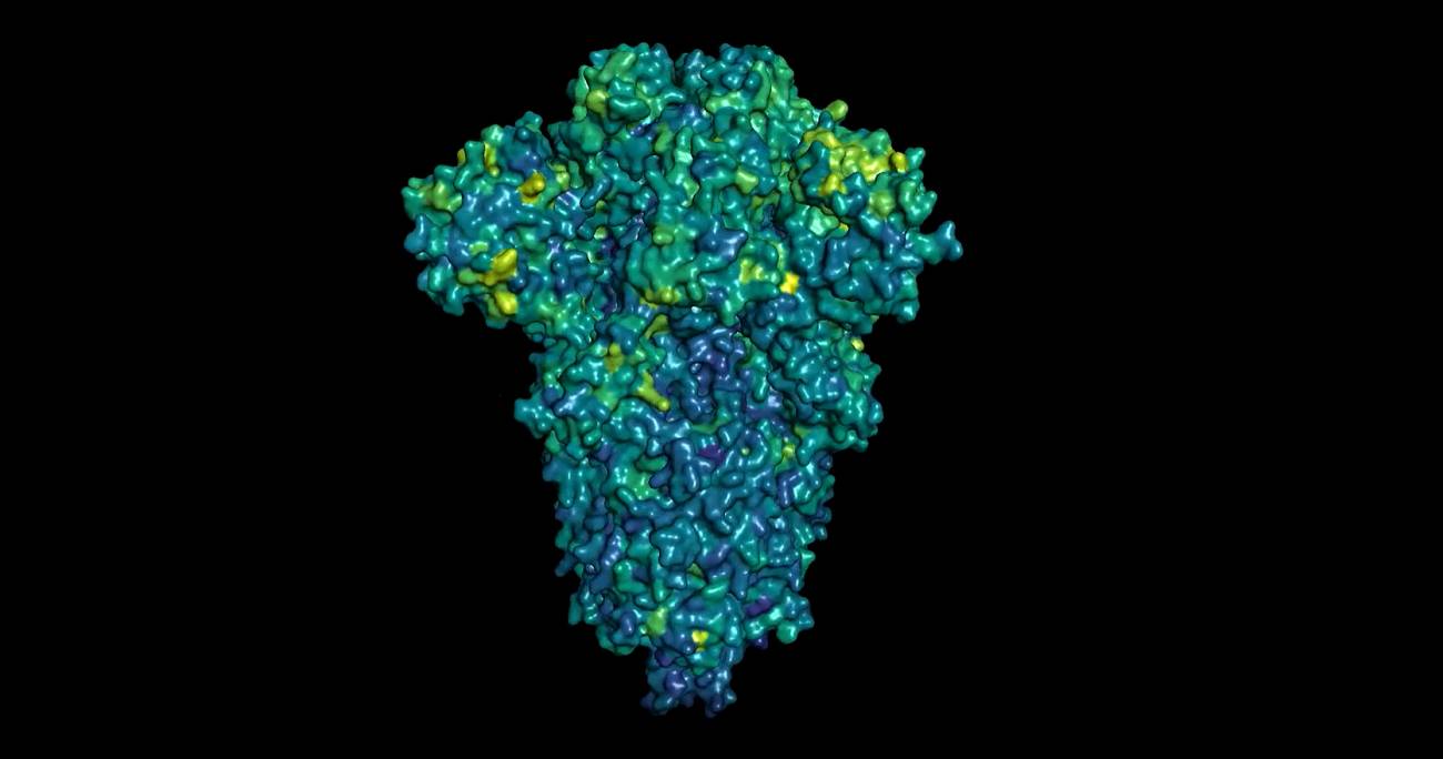 La proteína ‘spike’ del coronavirus con su potencial de escape
