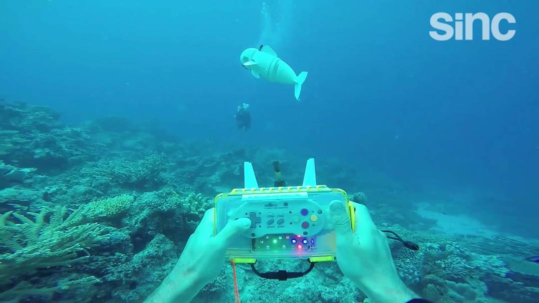 Un pez robot se mimetiza para estudiar los ecosistemas marinos