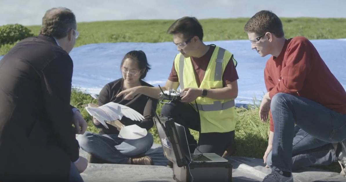 ponen a prueba un robot con plumas de paloma desvela claves del vuelo de las aves